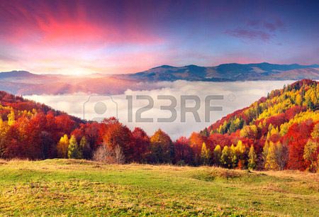 Фотошпалери Карпати 33960013