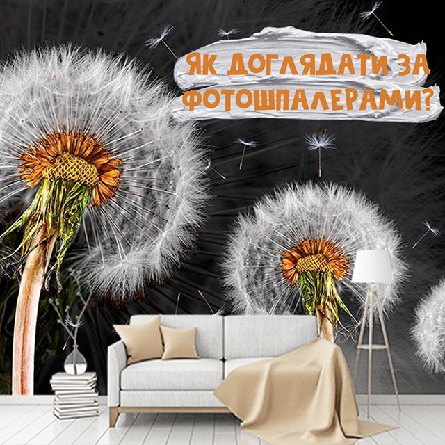 Як доглядати за фотошпалерами?🤔