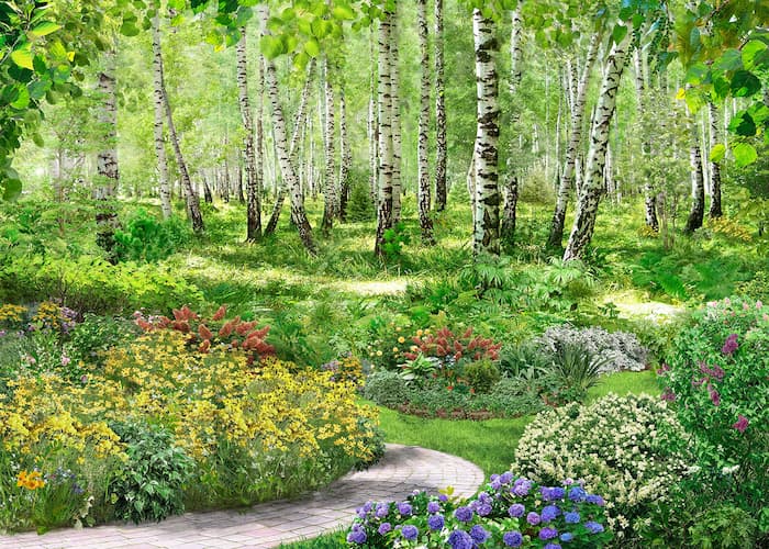 фотошпалери сад ліс 479104456